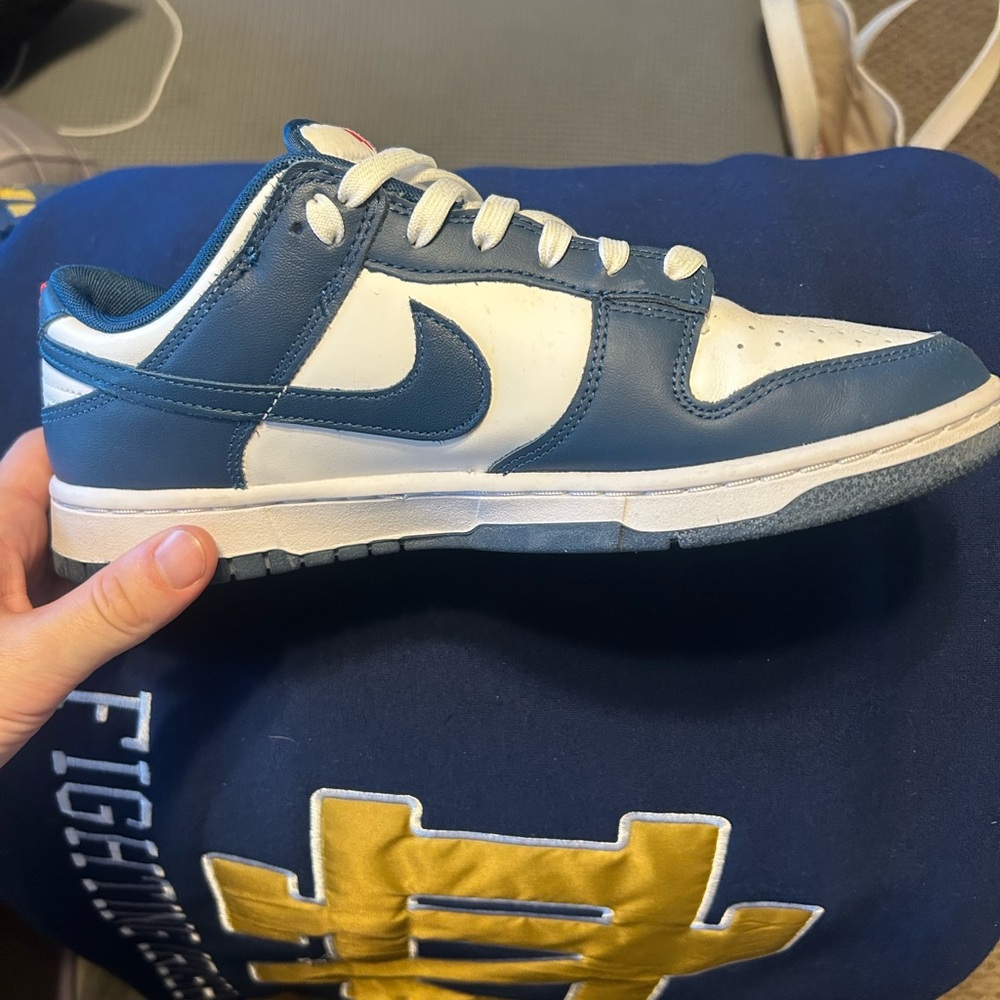Nike Navy and White Low-Top Sneakers